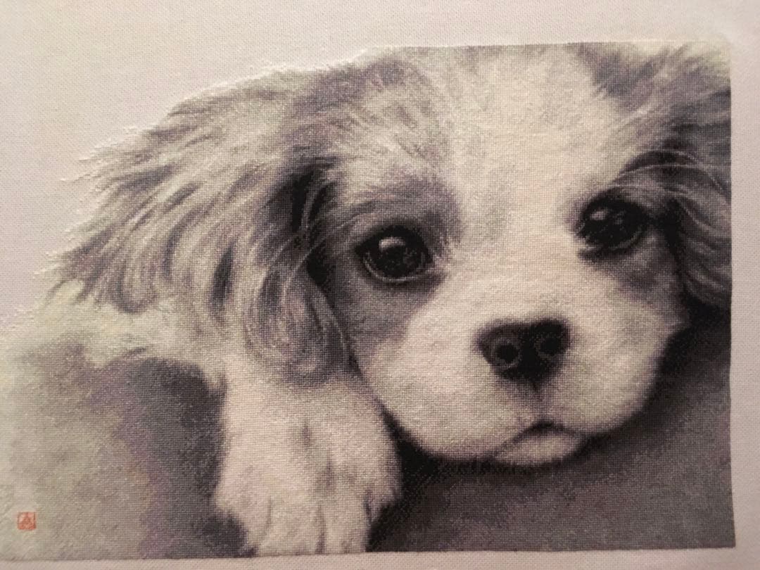 アメリカHAED社　クロスステッチ刺繍25カウント完成品　キャバリアパピー