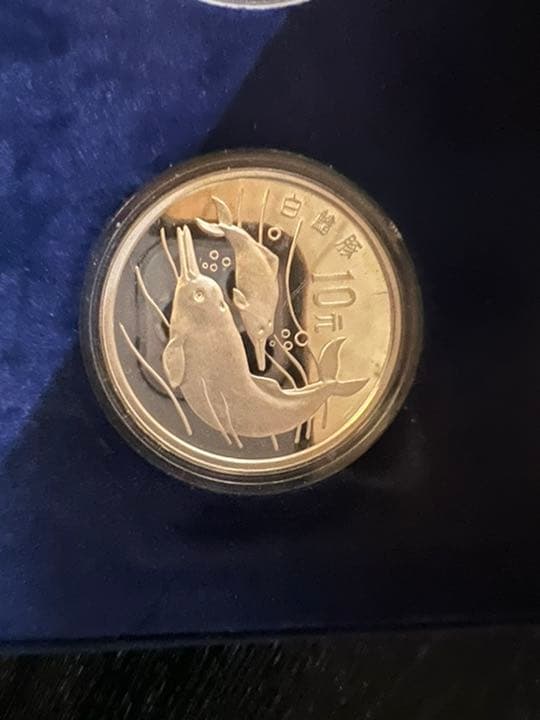 人民元　銀硬貨10元2枚入り