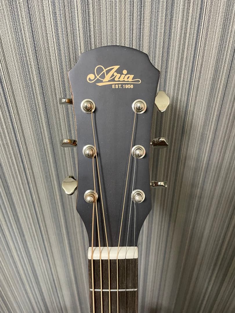 Aria アコースティックギター ARIA-100 MTN