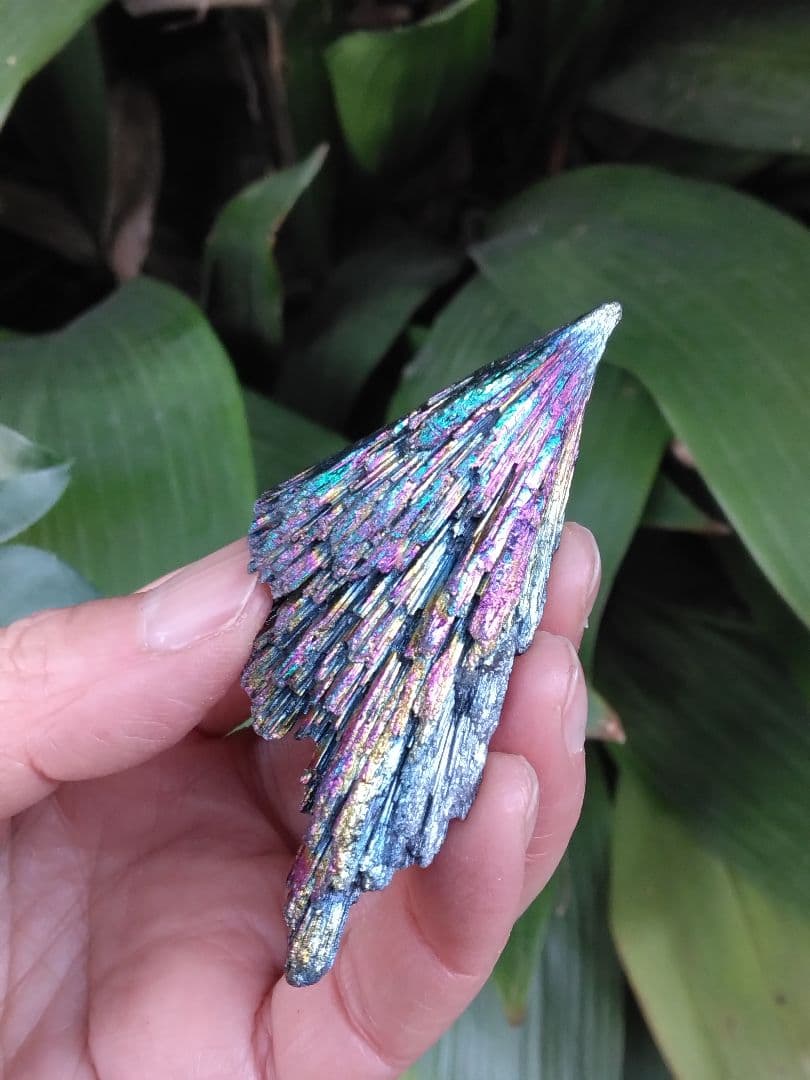 超希少❇龍神と対❇️鳳凰⭐四神⭐四神獣⭐四神相応⭐四神獣置物⭐お守り⭐心願成就