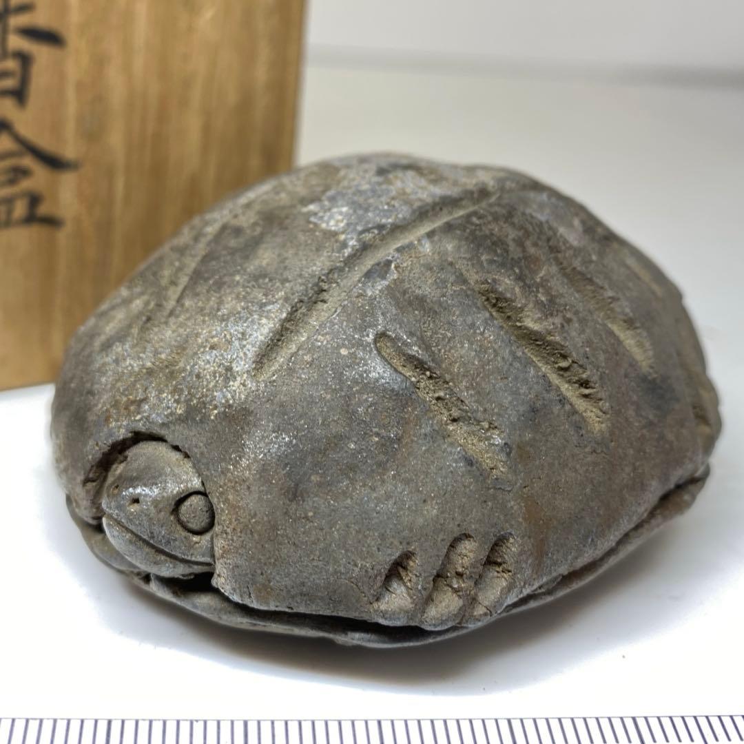 古備前 亀形香合 共箱 h4cm 東キ8-0121☆2F