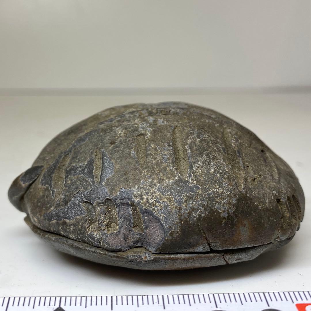 古備前 亀形香合 共箱 h4cm 東キ8-0121☆2F