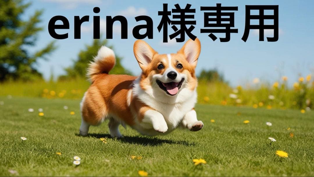 ぬいぐるみ erina