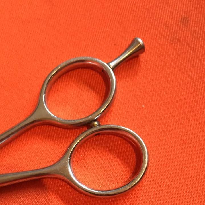 コーホー柳刃5.5インチ