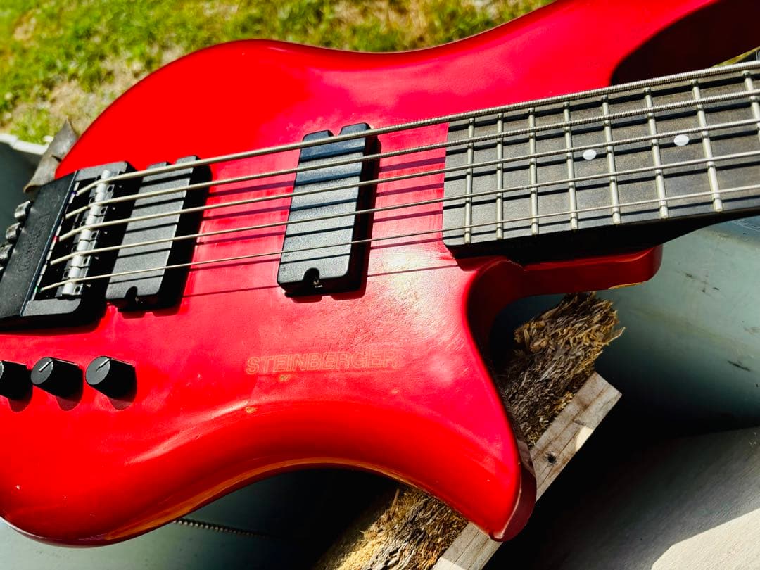 Steinberger XQ-25 1991 PLEK済み