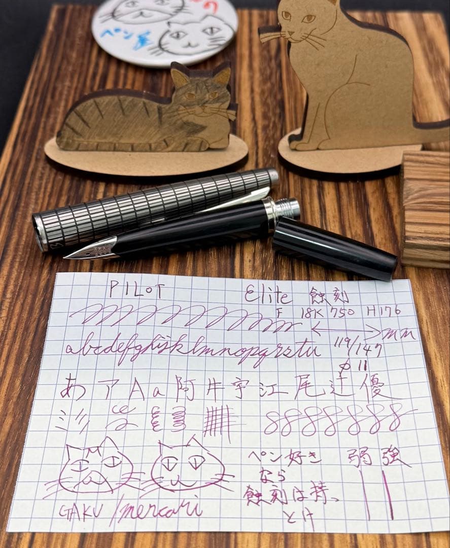 Pilot 万年筆 エリート 蝕刻 ショート 18K 画像要確認