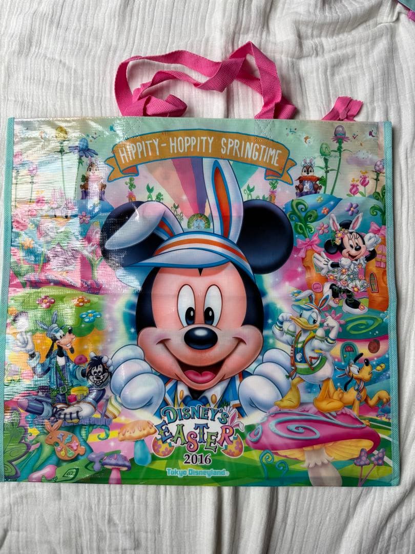 東京ディズニーリゾート ビニールバッグセット