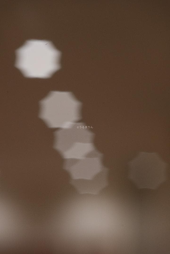 良品！星ボケ希少等倍マクロレンズ！Macro-Takumar 50mm F4