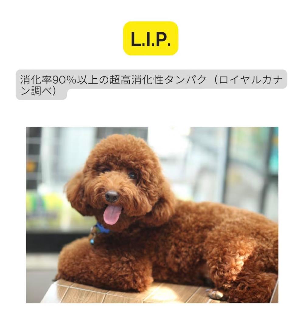  CANIN プードル 7.5kg x1