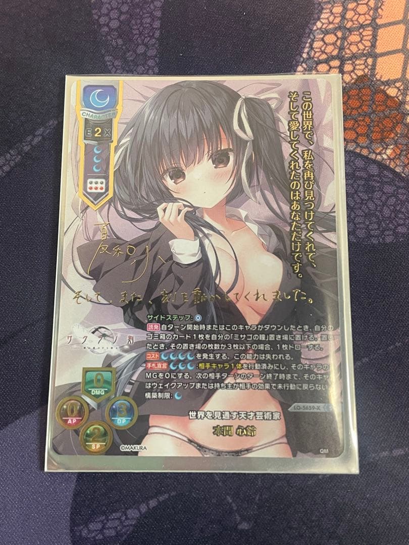 世界を見透す天才芸術家 本間心鈴 SSP LO-5659-X