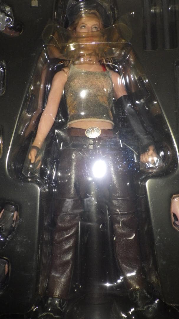 ホットトイズ　HOTTOYS　ブレイド