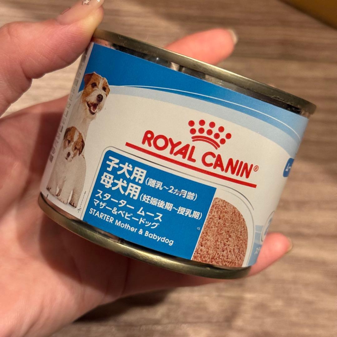 matxxn　 CANIN スタートマザー＆ベビードッグ 24缶