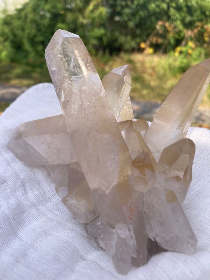 レムリアンシードピュアレイ　ゴールデンヒーラークラスター