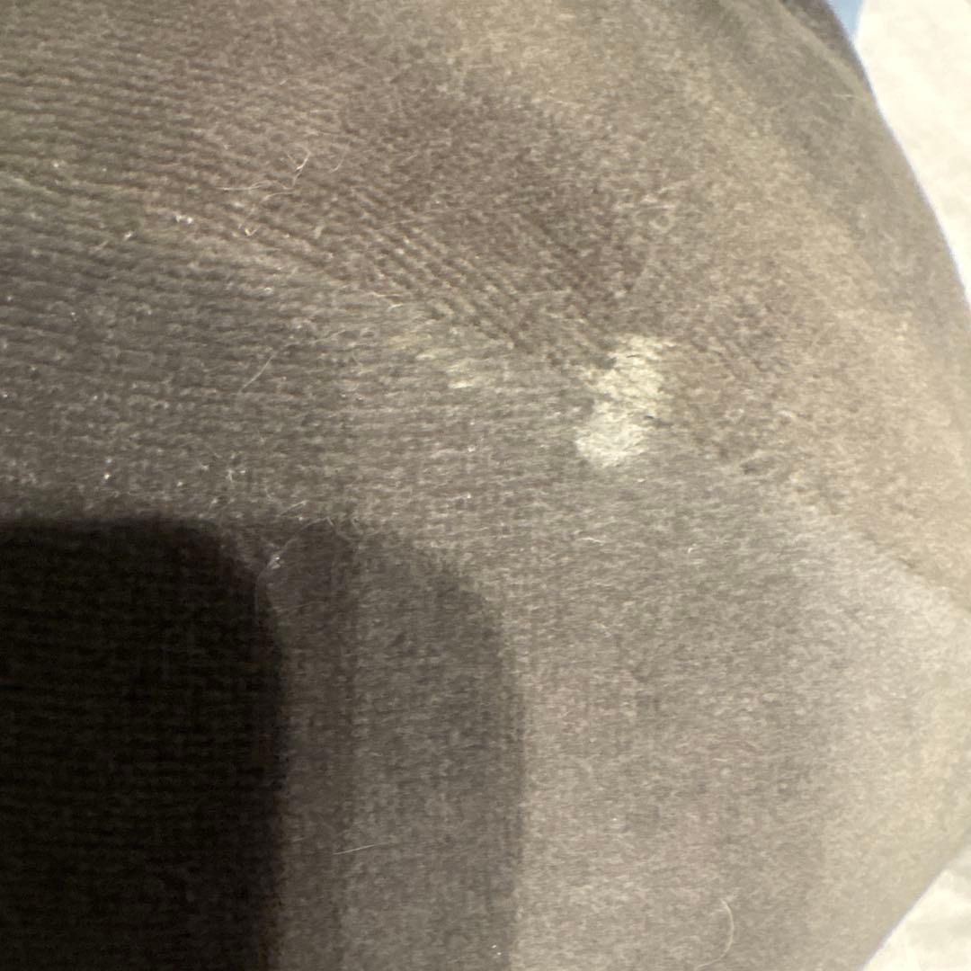 ポケモンセンター すやすやブラッキー ぬいぐるみ