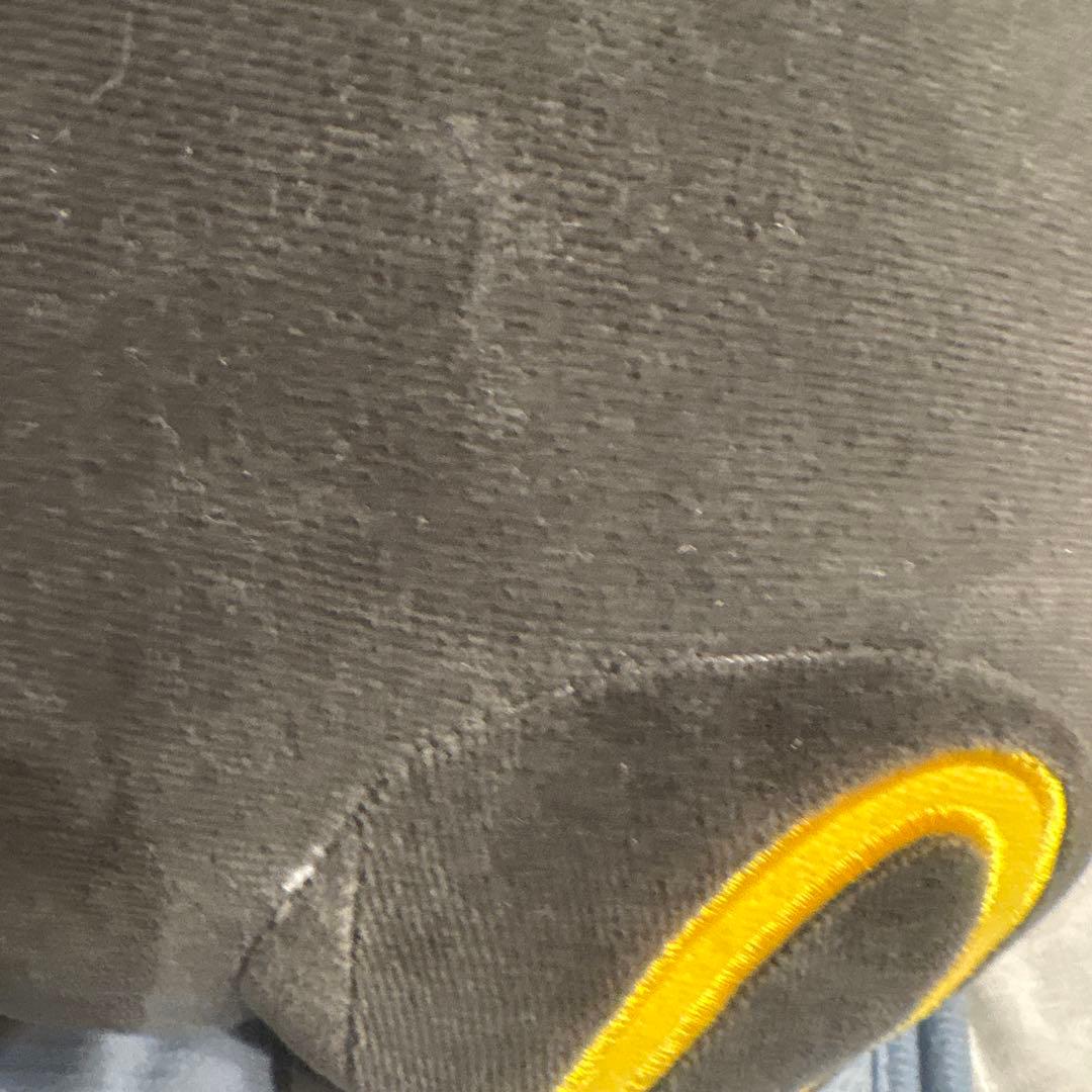 ポケモンセンター すやすやブラッキー ぬいぐるみ