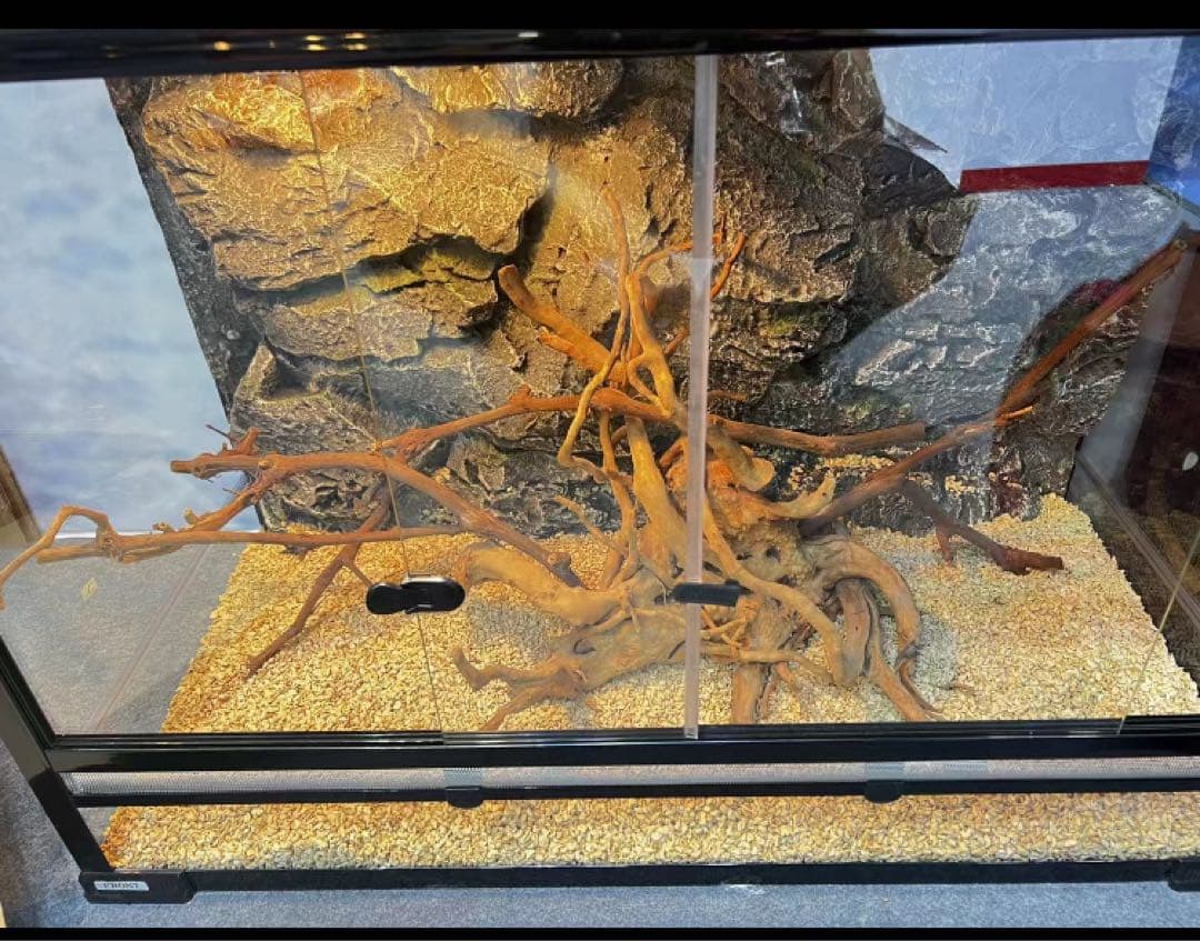 自社製組み立て式爬虫類両生類ケージガラス飼育ケージ60x30x30cm引取り可