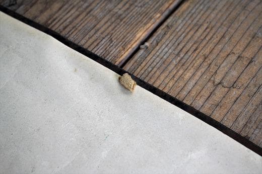 品番　z-0654 美人画ポスター 広告　印刷物　引き札　着物　大正ロマン