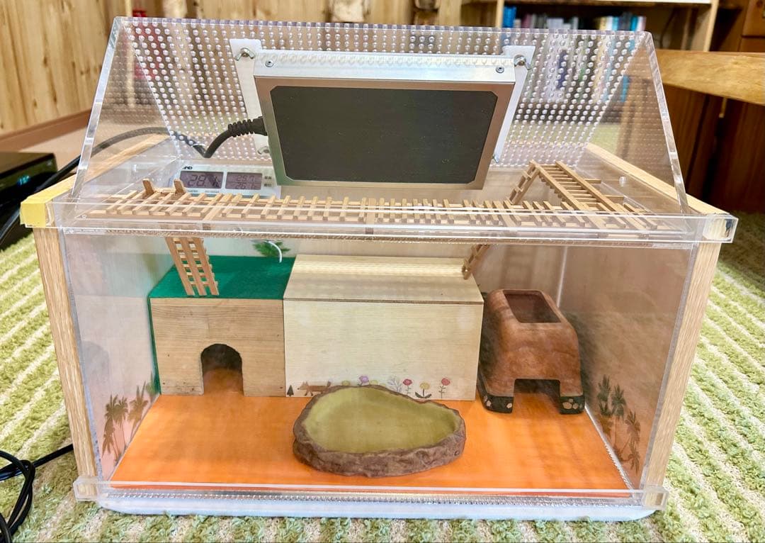 ヒョウモントカゲモドキ　レオパ　爬虫類　飼育ゲージ　一式