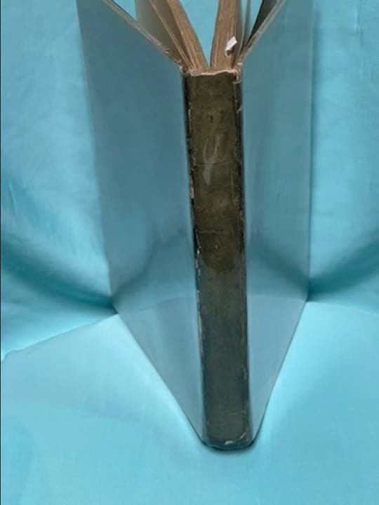 omusan専用 近代詩集の金字塔　高村光太郎　道程　初版