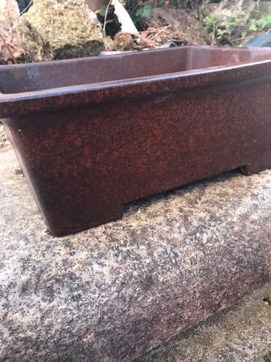 盆栽鉢　希少時代赤色梨皮切り足長方盆栽鉢山野草サボテン植木鉢