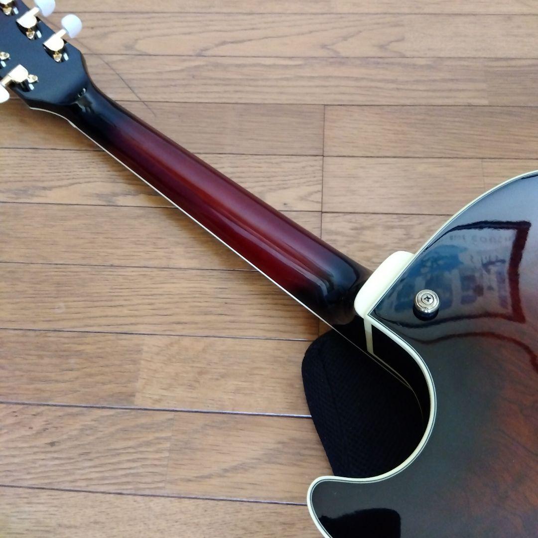 アイバニ―ズ　フルアコ　AK95―DBS―12―03　ソフトケ−ス付き