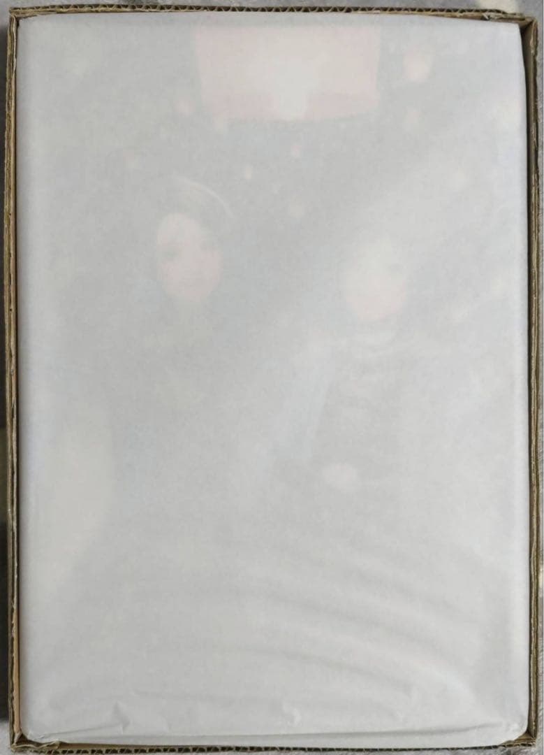 刀剣乱舞 灯結び展 描きおろしイラスト 大和守安定 加州清光 複製原画 受注限定