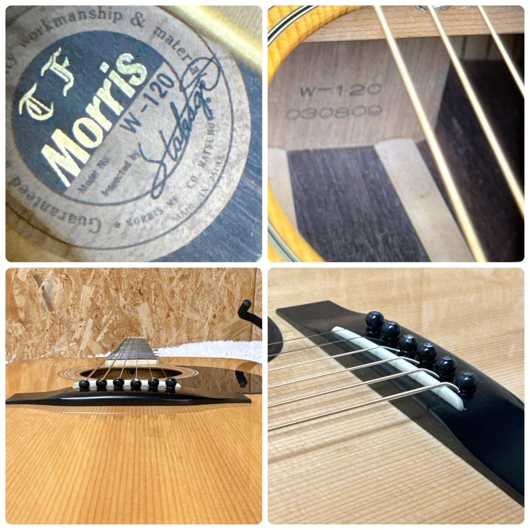 希少！MORRIS W-120 アコースティックギター TF 上位モデル
