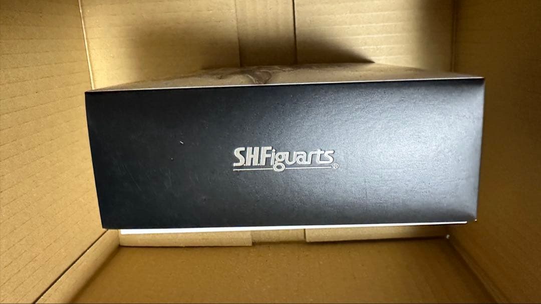 【即購入⭕️】真骨彫製法 仮面ライダー電王 ソードフォーム/ガンフォーム