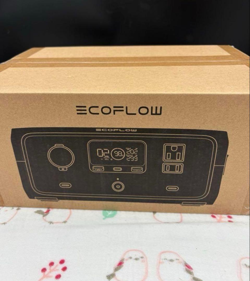 【EcoFlow  3】次世代のコンパクトポータブル電源