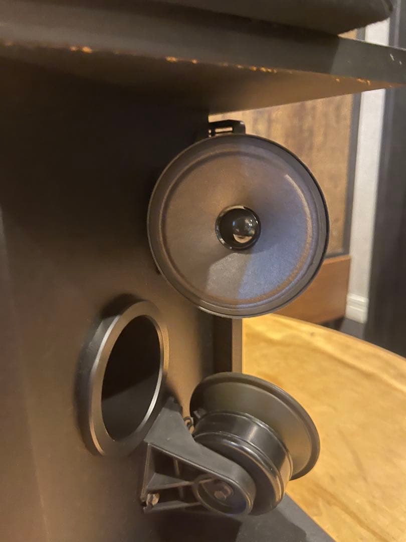 BOSE 301 MUSIC MONITOR II スピーカー