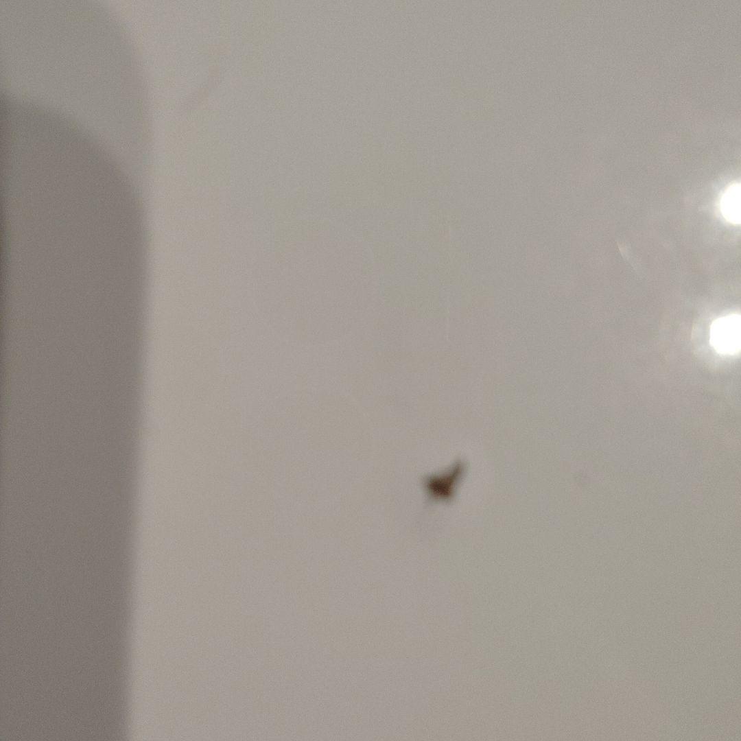 ニトリ ダイニングテーブル　ロピア2