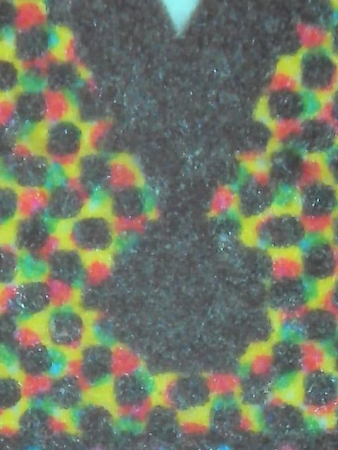 資源の浪費/Squandered Resources VIS　日本語、１枚