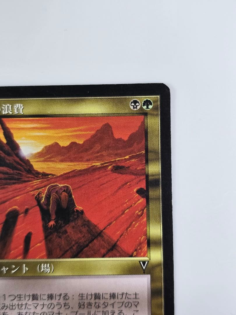 資源の浪費/Squandered Resources VIS　日本語、１枚