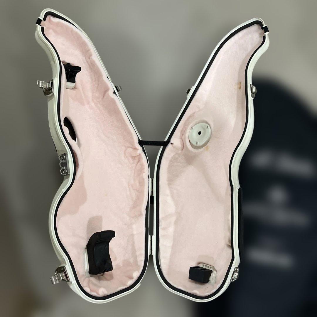 BEST BRASS e-Sax 電子サックスハードケース兼消音器 カバー付