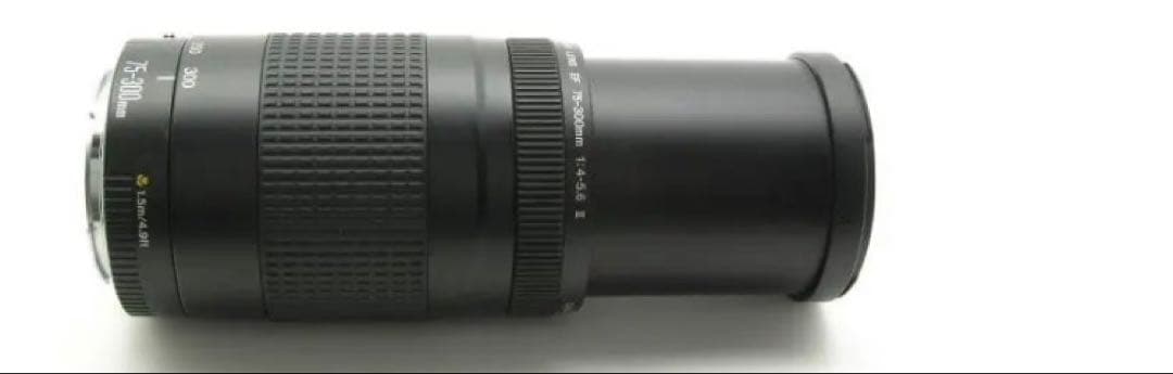 大望遠レンズ/大迫力の300㎜/キヤノン/Canon EF75-300 II