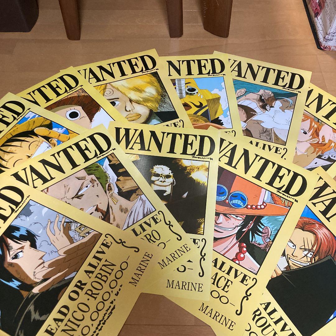 最終値下げ　ワンピース　手配書　ポスター　19枚セット