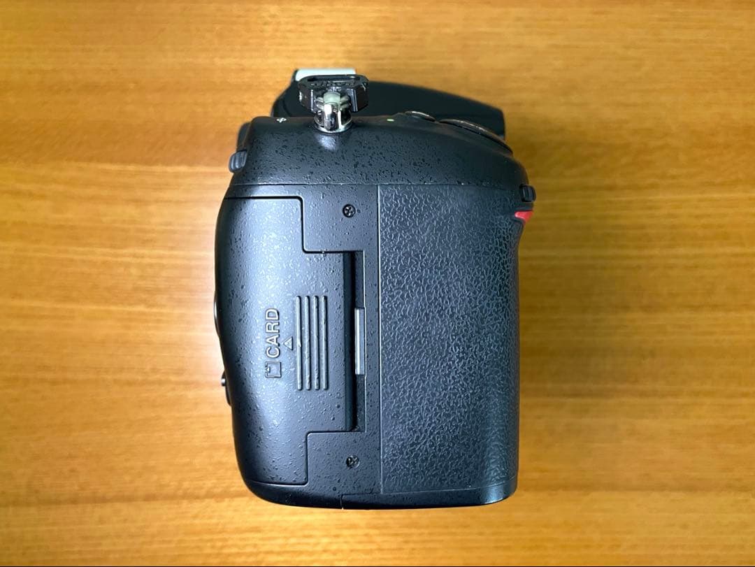 Nikon D7000 ズームレンズ