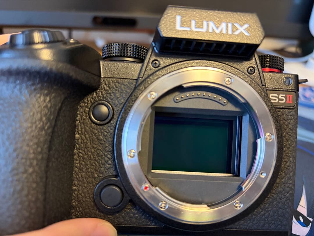 Panasonic Lumix S5Ⅱ (DC-S5M2)多数オプション＋保証書