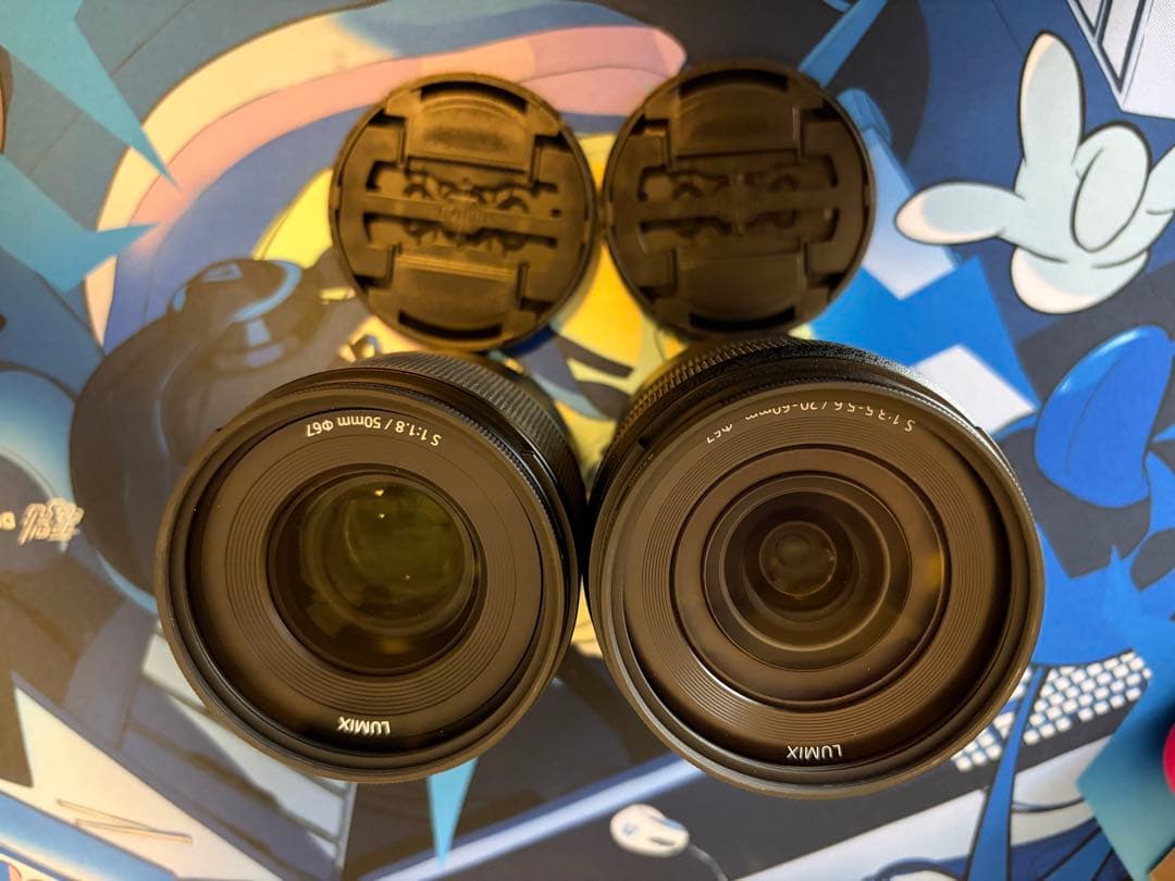 Panasonic Lumix S5Ⅱ (DC-S5M2)多数オプション＋保証書