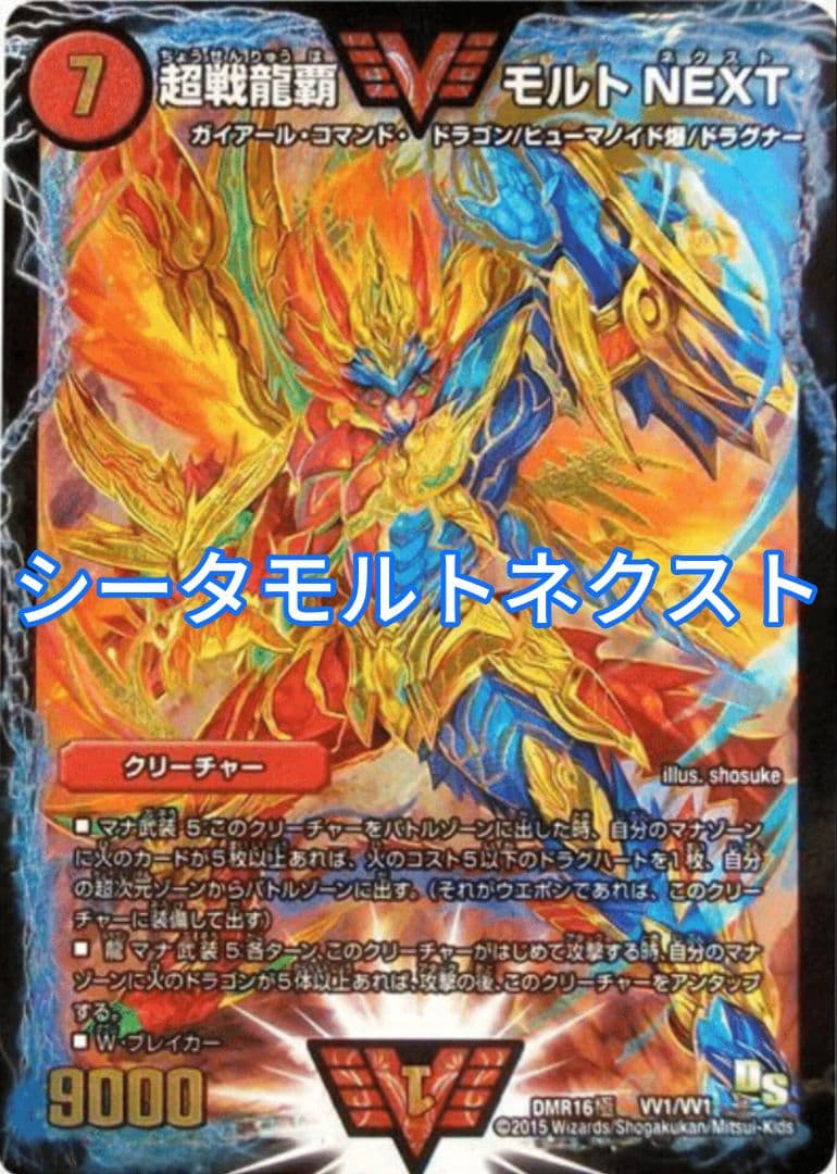 ど*ん様 シータモルトネクスト　シータモルネク【二重スリーブ付属】【美品】