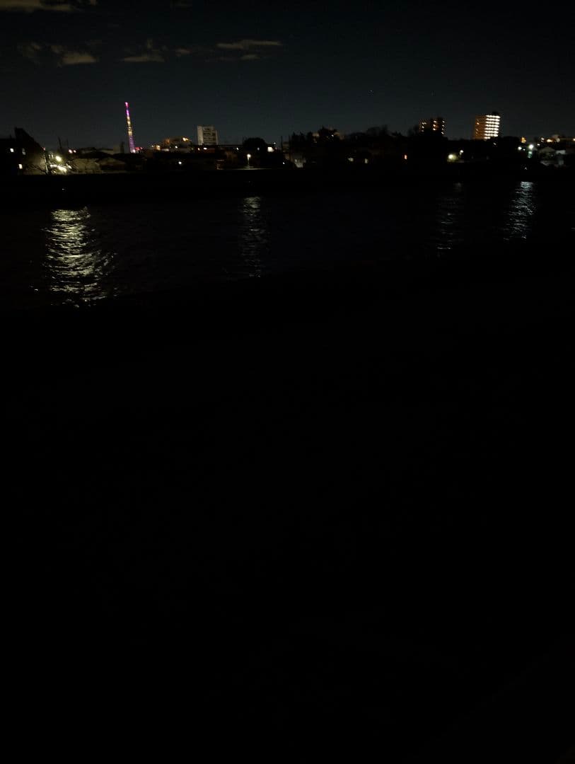 【新品】デジタルナイトビジョンGOYOJO CNG2K