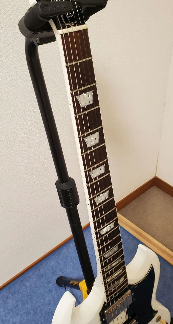 FGN NSG100-SW[カリマンタン・エボニー指板]