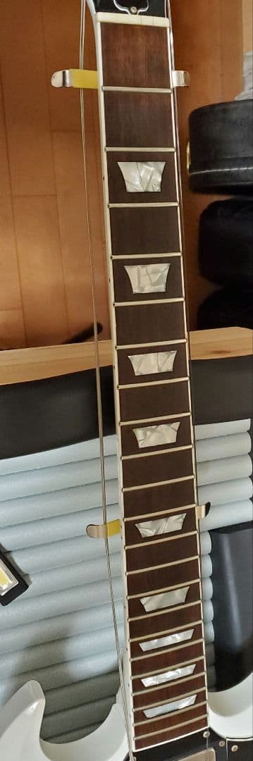 FGN NSG100-SW[カリマンタン・エボニー指板]