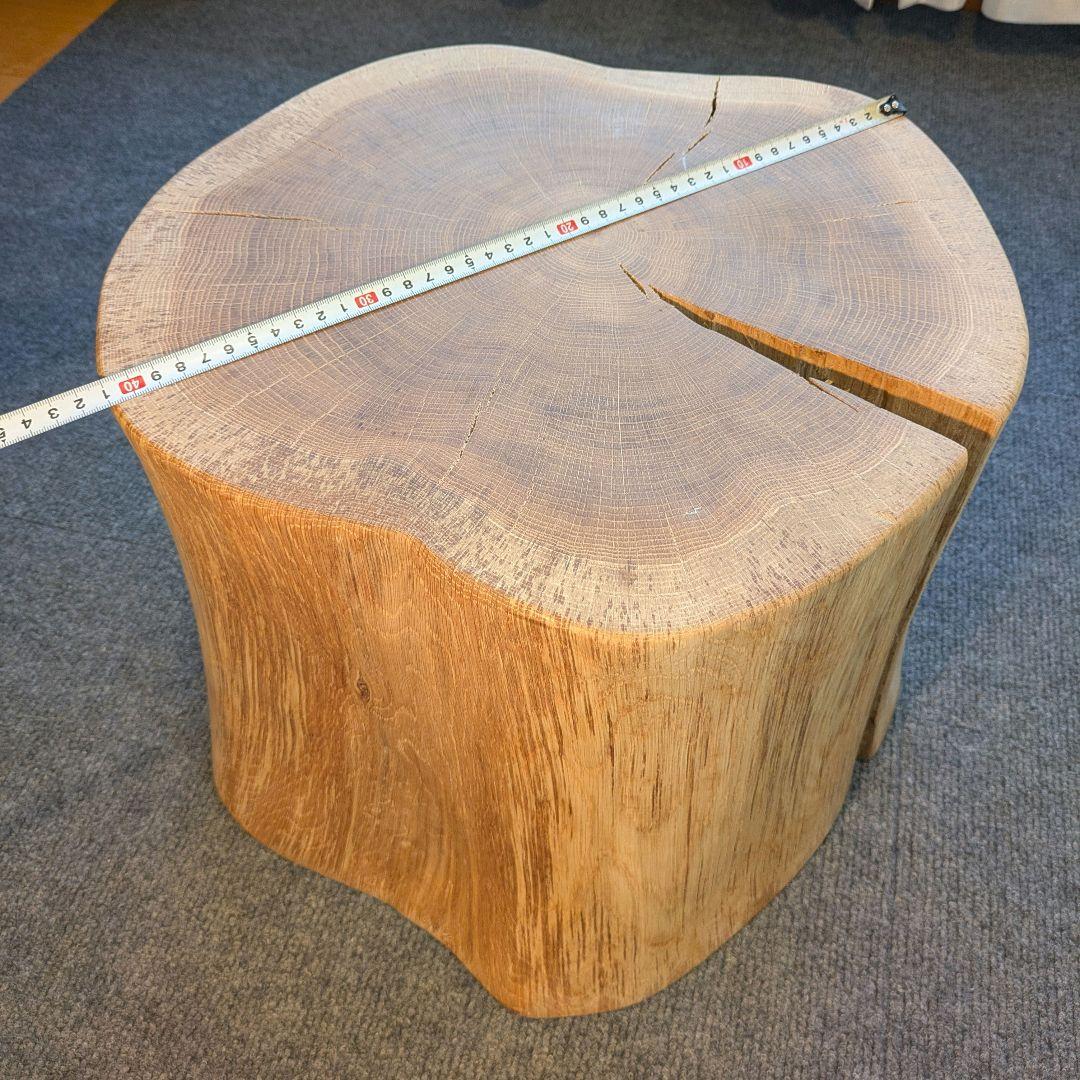 3104　　ミズナラ　水楢　天然木　切り株　丸太　輪切り　高さ約28㎝