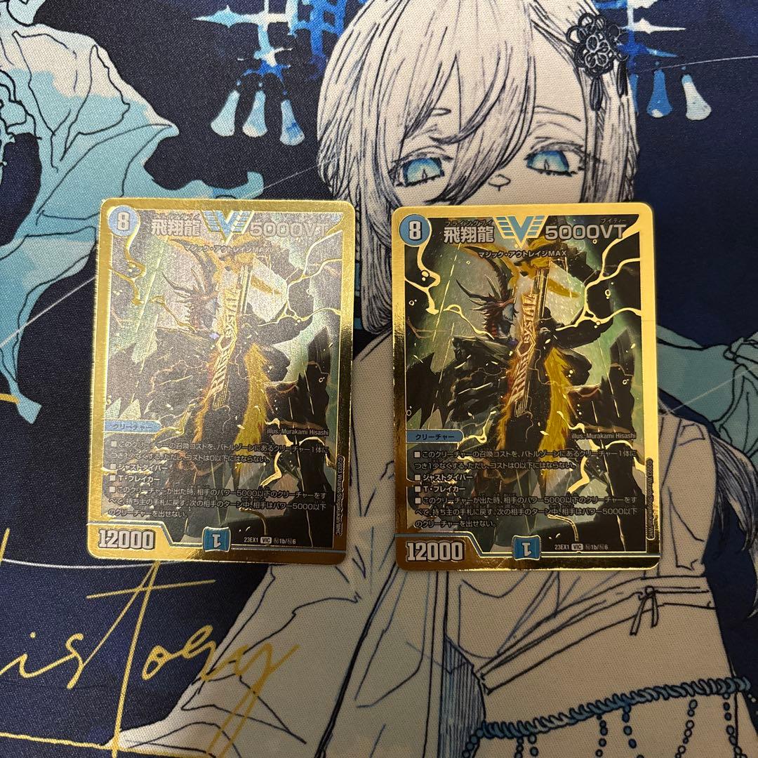 飛翔龍5000vt 金シク2枚セット