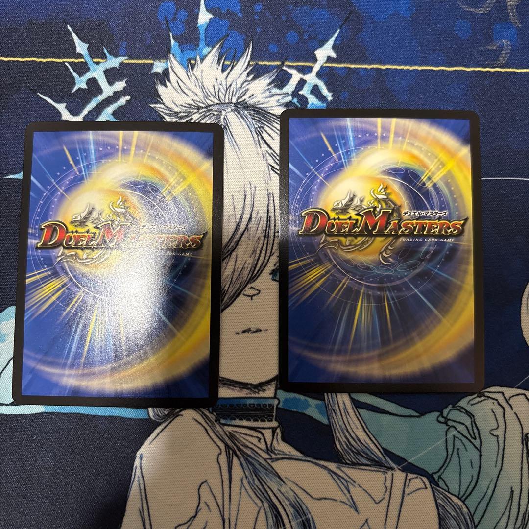 飛翔龍5000vt 金シク2枚セット