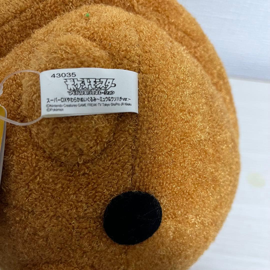 レア 希少 ポケモン アドバンスジェネレーション ウソハチ ぬいぐるみ タグあり
