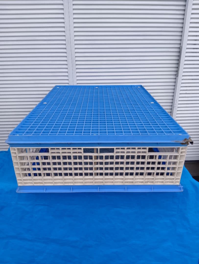 放鳩籠　コンテナ　レース鳩　移送　搬送　輸送　愛鳩の友　コンテナー　キャディーB