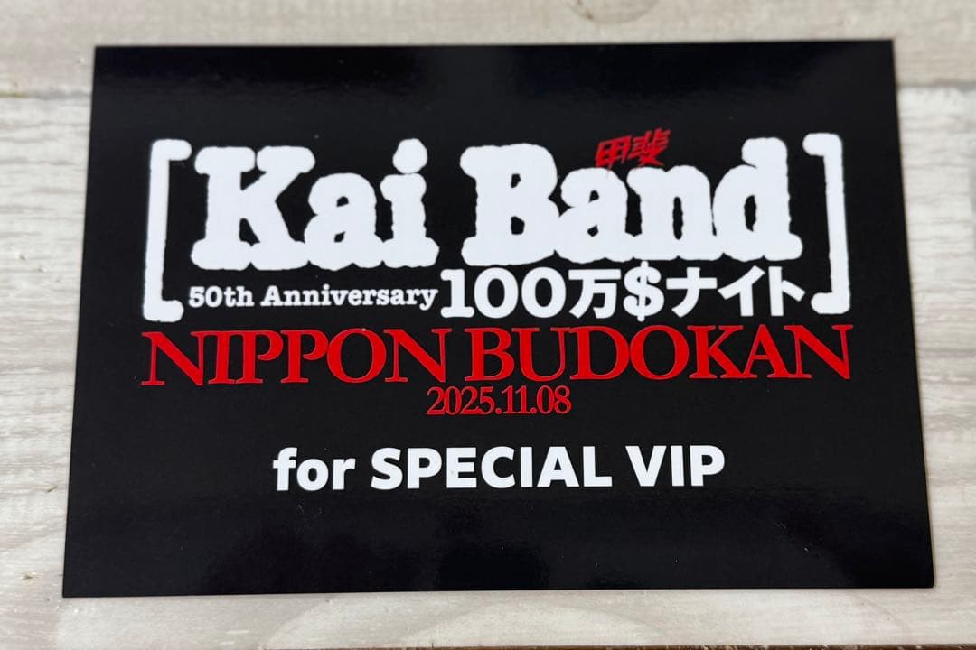 甲斐バンド武道館ライブスペシャルVIP特典パンフレットオーダーカードスノードーム