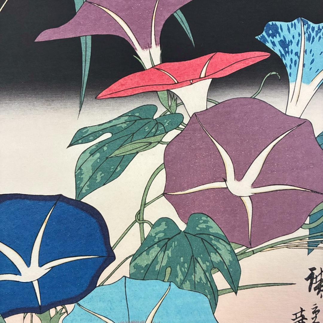 美品 歌川広重「四季の花尽 朝顔」木版画 団扇絵 浮世絵 錦絵 額縁入り